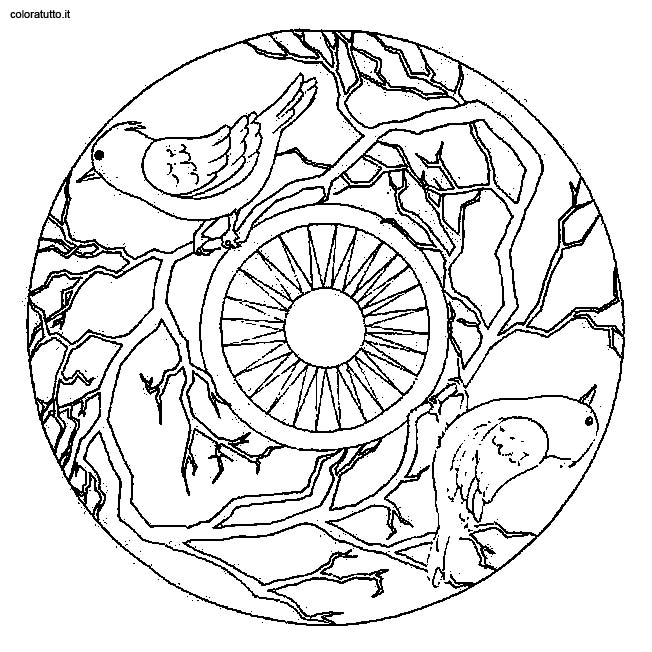 Coloriages special mandala 126