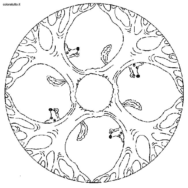 Coloriages special mandala 36