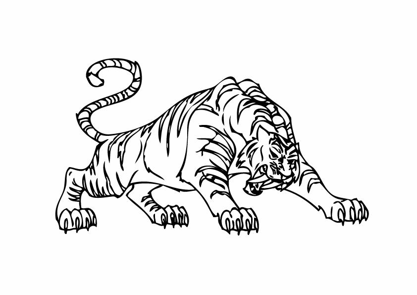 Coloriage Tigre 22  LesColoriages.net